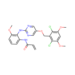 C=CC(=O)Nc1cccc(OC)c1Nc1ncc(OCc2c(Cl)c(OC)cc(OC)c2Cl)cn1 ZINC001772600053