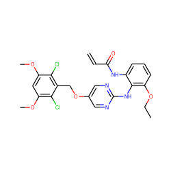 C=CC(=O)Nc1cccc(OCC)c1Nc1ncc(OCc2c(Cl)c(OC)cc(OC)c2Cl)cn1 ZINC001772613150