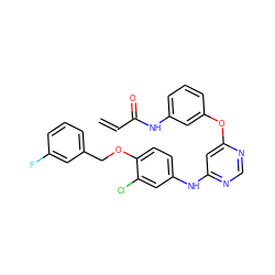 C=CC(=O)Nc1cccc(Oc2cc(Nc3ccc(OCc4cccc(F)c4)c(Cl)c3)ncn2)c1 ZINC000082153773