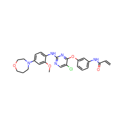 C=CC(=O)Nc1cccc(Oc2nc(Nc3ccc(N4CCCOCC4)cc3OC)ncc2Cl)c1 ZINC000145993366