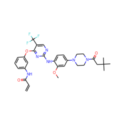 C=CC(=O)Nc1cccc(Oc2nc(Nc3ccc(N4CCN(C(=O)CC(C)(C)C)CC4)cc3OC)ncc2C(F)(F)F)c1 ZINC000205447075