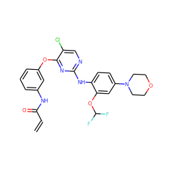 C=CC(=O)Nc1cccc(Oc2nc(Nc3ccc(N4CCOCC4)cc3OC(F)F)ncc2Cl)c1 ZINC000143988612