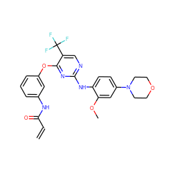 C=CC(=O)Nc1cccc(Oc2nc(Nc3ccc(N4CCOCC4)cc3OC)ncc2C(F)(F)F)c1 ZINC000144557163