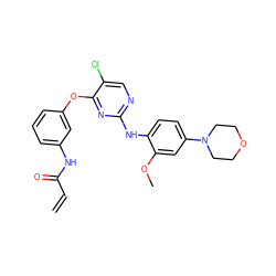 C=CC(=O)Nc1cccc(Oc2nc(Nc3ccc(N4CCOCC4)cc3OC)ncc2Cl)c1 ZINC000066104531