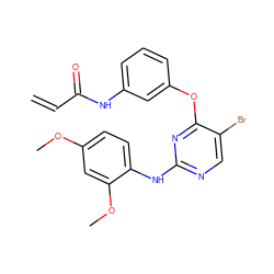 C=CC(=O)Nc1cccc(Oc2nc(Nc3ccc(OC)cc3OC)ncc2Br)c1 ZINC000200699613