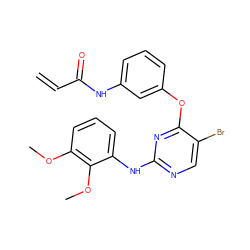 C=CC(=O)Nc1cccc(Oc2nc(Nc3cccc(OC)c3OC)ncc2Br)c1 ZINC000200752847