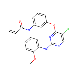 C=CC(=O)Nc1cccc(Oc2nc(Nc3ccccc3OC)ncc2Cl)c1 ZINC000147767096