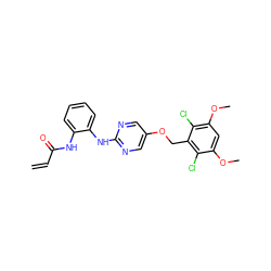 C=CC(=O)Nc1ccccc1Nc1ncc(OCc2c(Cl)c(OC)cc(OC)c2Cl)cn1 ZINC001772590329