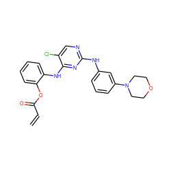 C=CC(=O)Oc1ccccc1Nc1nc(Nc2cccc(N3CCOCC3)c2)ncc1Cl ZINC001772642431