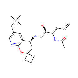 C=CC[C@H](NC(C)=O)[C@H](O)CN[C@H]1CC2(CCC2)Oc2ncc(CC(C)(C)C)cc21 ZINC000084671123