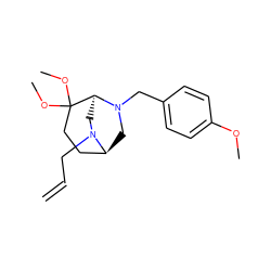 C=CCN1C[C@@H]2N(Cc3ccc(OC)cc3)C[C@H]1CCC2(OC)OC ZINC000040421467