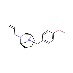 C=CCN1C[C@H]2CCC[C@@H]1CN2Cc1ccc(OC)cc1 ZINC000040981262