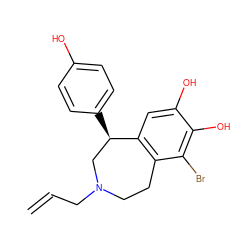 C=CCN1CCc2c(cc(O)c(O)c2Br)[C@H](c2ccc(O)cc2)C1 ZINC000027324251