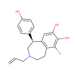 C=CCN1CCc2c(cc(O)c(O)c2Cl)[C@H](c2ccc(O)cc2)C1 ZINC000027323515