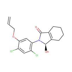 C=CCOc1cc(N2C(=O)C3=C(CCCC3)[C@H]2O)c(Cl)cc1Cl ZINC000103208641