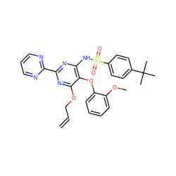 C=CCOc1nc(-c2ncccn2)nc(NS(=O)(=O)c2ccc(C(C)(C)C)cc2)c1Oc1ccccc1OC ZINC000028103942