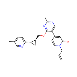 C=CCn1ccc(-c2cnc(C)nc2OC[C@H]2C[C@@H]2c2ccc(C)cn2)cc1=O ZINC000209427142