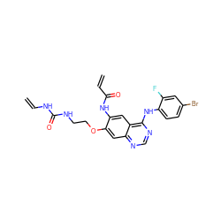 C=CNC(=O)NCCOc1cc2ncnc(Nc3ccc(Br)cc3F)c2cc1NC(=O)C=C ZINC000137897674