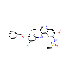 C=CS(=O)(=O)Nc1cc2c(Nc3ccc(OCc4ccccc4)c(Cl)c3)c(C#N)cnc2cc1OCC ZINC000028120326