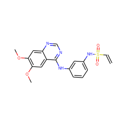 C=CS(=O)(=O)Nc1cccc(Nc2ncnc3cc(OC)c(OC)cc23)c1 ZINC000198938375