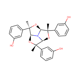 C[C@@]1(c2cccc(O)c2)O[C@@H]2N3[C@H]1O[C@](C)(c1cccc(O)c1)[C@@H]3O[C@@]2(C)c1cccc(O)c1 ZINC000299831332