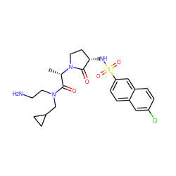 C[C@@H](C(=O)N(CCN)CC1CC1)N1CC[C@H](NS(=O)(=O)c2ccc3cc(Cl)ccc3c2)C1=O ZINC000014950010