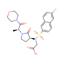 C[C@@H](C(=O)N1CCOCC1)N1CC[C@H](N(CC(=O)O)S(=O)(=O)c2ccc3cc(Cl)ccc3c2)C1=O ZINC000014950158