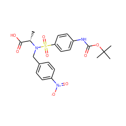 C[C@@H](C(=O)O)N(Cc1ccc([N+](=O)[O-])cc1)S(=O)(=O)c1ccc(NC(=O)OC(C)(C)C)cc1 ZINC000013840023