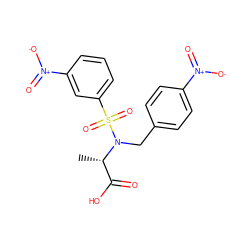 C[C@@H](C(=O)O)N(Cc1ccc([N+](=O)[O-])cc1)S(=O)(=O)c1cccc([N+](=O)[O-])c1 ZINC000013840015