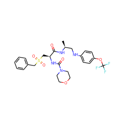 C[C@@H](CNc1ccc(OC(F)(F)F)cc1)NC(=O)[C@H](CS(=O)(=O)Cc1ccccc1)NC(=O)N1CCOCC1 ZINC000014972012