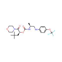 C[C@@H](CNc1ccc(OC(F)(F)F)cc1)NC(=O)O[C@@H](CC(C)(C)C)C(=O)N1CCOCC1 ZINC000014971849