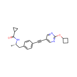 C[C@@H](Cc1ccc(C#Cc2cnc(OC3CCC3)nc2)cc1)NC(=O)C1CC1 ZINC000169706387