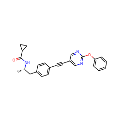 C[C@@H](Cc1ccc(C#Cc2cnc(Oc3ccccc3)nc2)cc1)NC(=O)C1CC1 ZINC000113412075