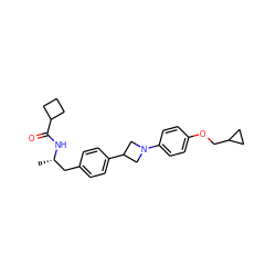 C[C@@H](Cc1ccc(C2CN(c3ccc(OCC4CC4)cc3)C2)cc1)NC(=O)C1CCC1 ZINC000149643405