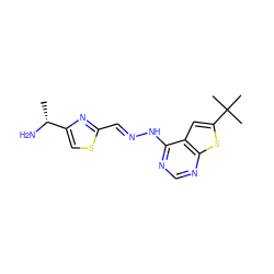 C[C@@H](N)c1csc(/C=N/Nc2ncnc3sc(C(C)(C)C)cc23)n1 ZINC000003976515