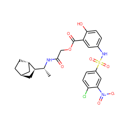 C[C@@H](NC(=O)COC(=O)c1cc(NS(=O)(=O)c2ccc(Cl)c([N+](=O)[O-])c2)ccc1O)[C@H]1C[C@H]2CC[C@H]1C2 ZINC000169691088