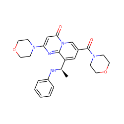 C[C@@H](Nc1ccccc1)c1cc(C(=O)N2CCOCC2)cn2c(=O)cc(N3CCOCC3)nc12 ZINC000299833083