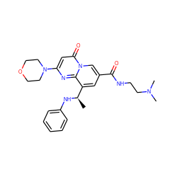 C[C@@H](Nc1ccccc1)c1cc(C(=O)NCCN(C)C)cn2c(=O)cc(N3CCOCC3)nc12 ZINC000299833022