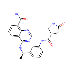 C[C@@H](Nc1ncnc2c(C(N)=O)cccc12)c1cccc(NC(=O)[C@@H]2CNC(=O)C2)c1 ZINC000114349651