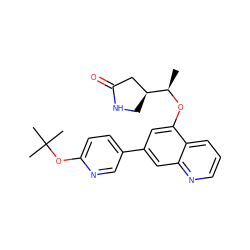 C[C@@H](Oc1cc(-c2ccc(OC(C)(C)C)nc2)cc2ncccc12)[C@H]1CNC(=O)C1 ZINC000147829762