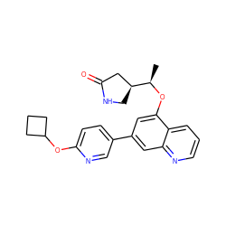 C[C@@H](Oc1cc(-c2ccc(OC3CCC3)nc2)cc2ncccc12)[C@H]1CNC(=O)C1 ZINC000147821658