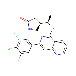 C[C@@H](Oc1nc(-c2cc(F)c(Cl)c(F)c2)cc2ncccc12)[C@H]1CNC(=O)C1 ZINC000141831761