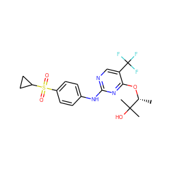 C[C@@H](Oc1nc(Nc2ccc(S(=O)(=O)C3CC3)cc2)ncc1C(F)(F)F)C(C)(C)O ZINC000118161207