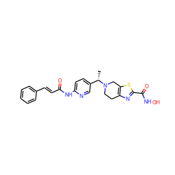 C[C@@H](c1ccc(NC(=O)/C=C/c2ccccc2)nc1)N1CCc2nc(C(=O)NO)sc2C1 ZINC000084757082