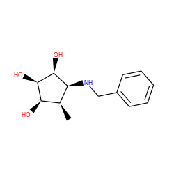 C[C@@H]1[C@H](NCc2ccccc2)[C@H](O)[C@H](O)[C@@H]1O ZINC000036351271