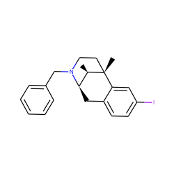 C[C@@H]1[C@H]2Cc3ccc(I)cc3[C@@]1(C)CCN2Cc1ccccc1 ZINC000169338743