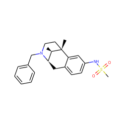 C[C@@H]1[C@H]2Cc3ccc(NS(C)(=O)=O)cc3[C@@]1(C)CCN2Cc1ccccc1 ZINC000169371173