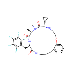 C[C@@H]1C(=O)N[C@H](Cc2c(F)c(F)c(F)c(F)c2F)C(=O)NCCCc2ccccc2OCCN[C@@H](C2CC2)C(=O)N1C ZINC001772645187