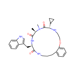 C[C@@H]1C(=O)N[C@H](Cc2c[nH]c3ccccc23)C(=O)NCCCc2ccccc2OCCN[C@@H](C2CC2)C(=O)N1C ZINC001772599510