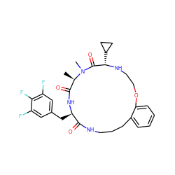 C[C@@H]1C(=O)N[C@H](Cc2cc(F)c(F)c(F)c2)C(=O)NCCCc2ccccc2OCCN[C@@H](C2CC2)C(=O)N1C ZINC001772597812